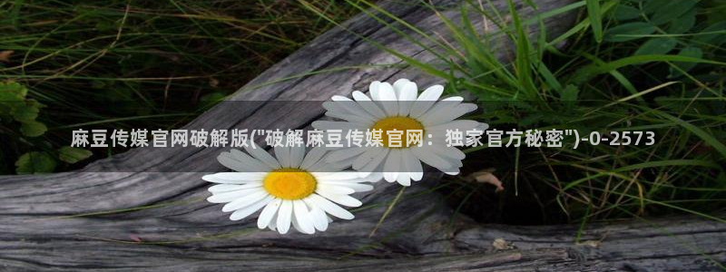 麻豆传媒直播app官网：麻豆传媒官网破解版(\