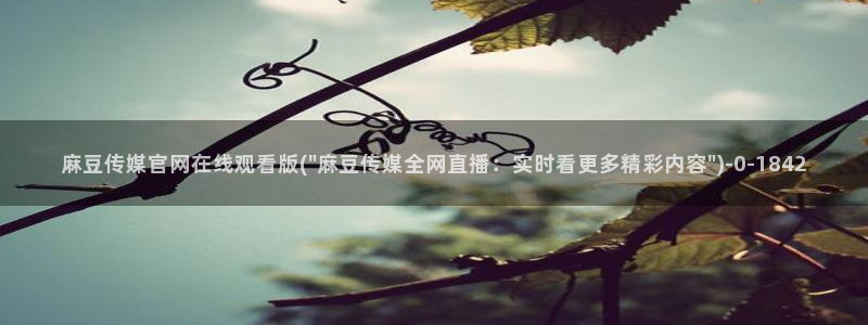 麻豆映画传媒视频官网：麻豆传媒官网在线观看版(\