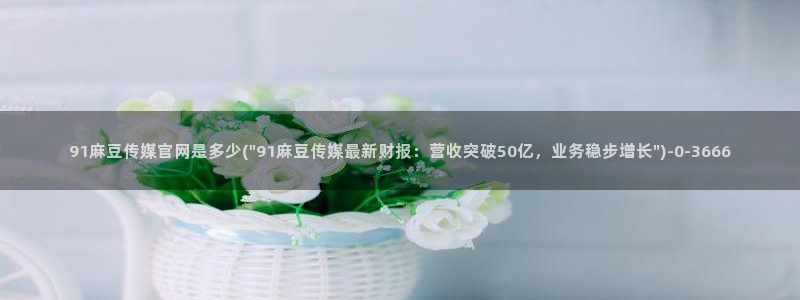 麻豆传媒官网进不去：91麻豆传媒官网是多少(\