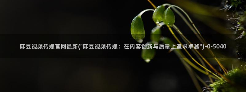 麻豆传媒官网花钱吗：麻豆视频传媒官网最新(\