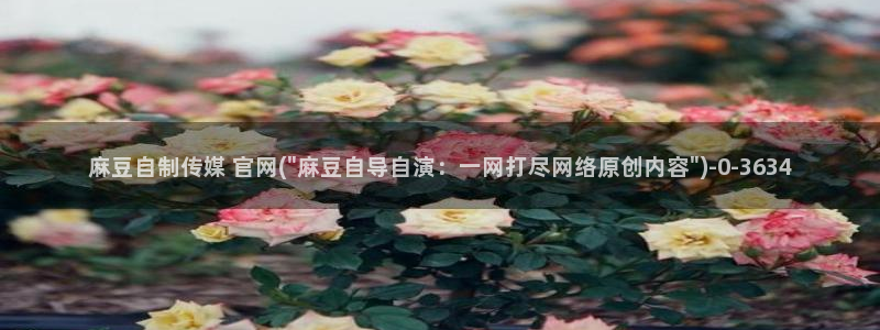 .pud 麻豆传媒官网：麻豆自制传媒 官网(\