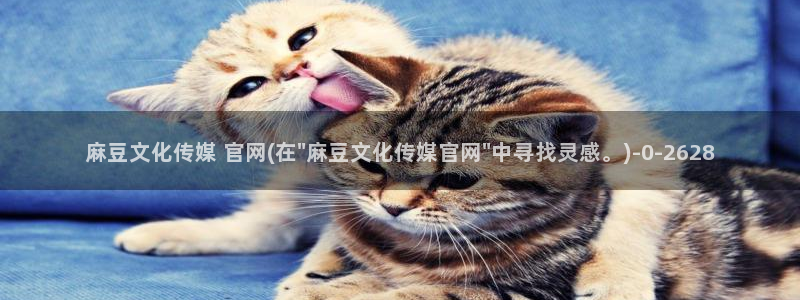 麻豆传媒官网贺岁：麻豆文化传媒 官网(在\