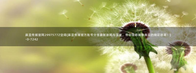 麻豆传媒官网樱桃