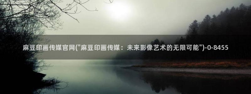 麻豆传媒官网怎么进：麻豆印画传媒官网(\