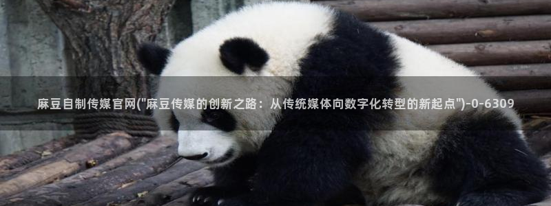 麻豆传媒App下载官网：麻豆自制传媒官网(\